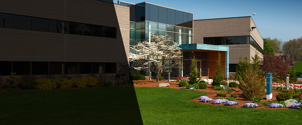 Miami Gardens Landscapers