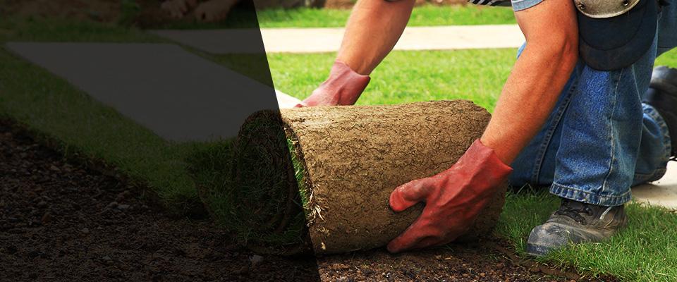 Miami Gardens Landscapers